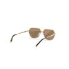Lentes Invicta eyewear I 30680-SPE-09 Unisex